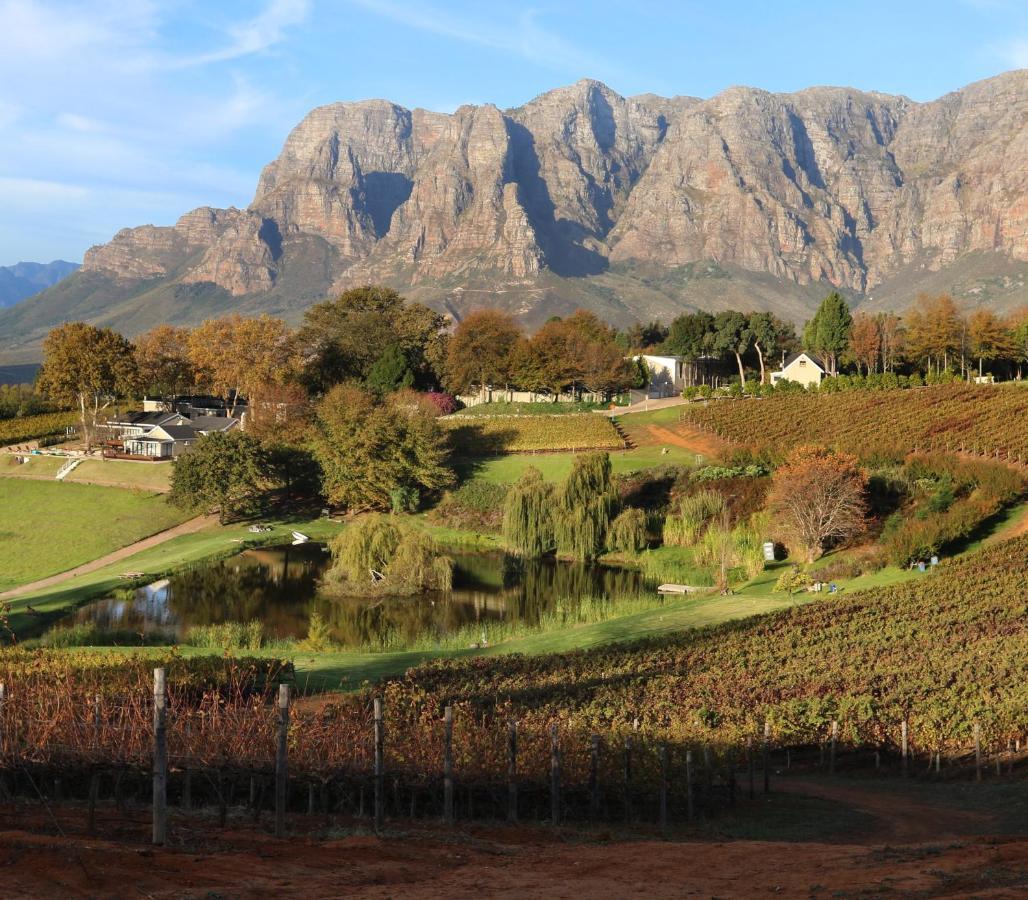 Alluvia Boutique Winery & Luxury Accommodation Stellenbosch Bagian luar foto The Paarl Mountain Range