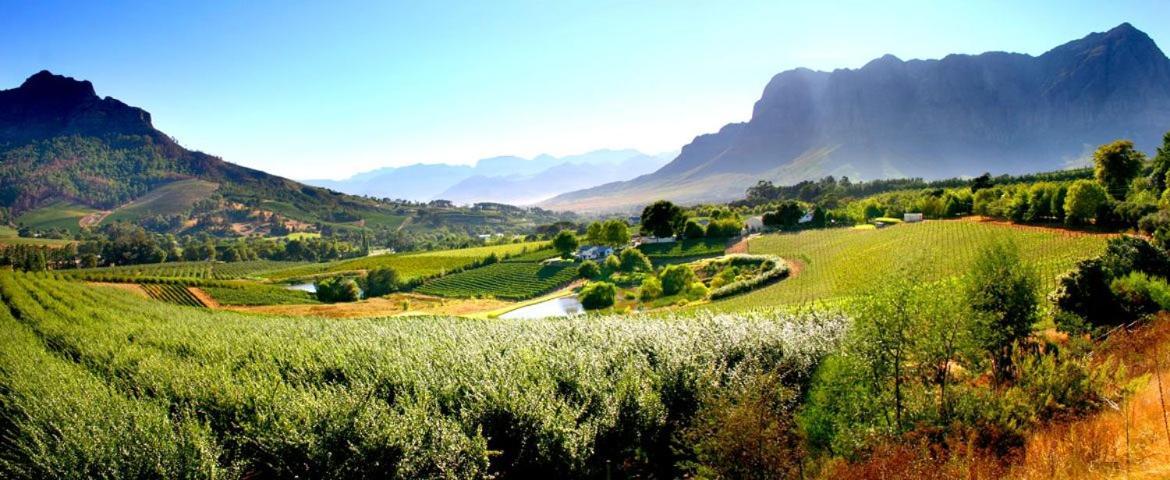 Alluvia Boutique Winery & Luxury Accommodation Stellenbosch Bagian luar foto The Paarl Wine Route