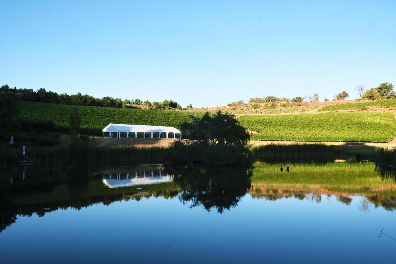 Alluvia Boutique Winery & Luxury Accommodation Stellenbosch Bagian luar foto The vineyard at the winery