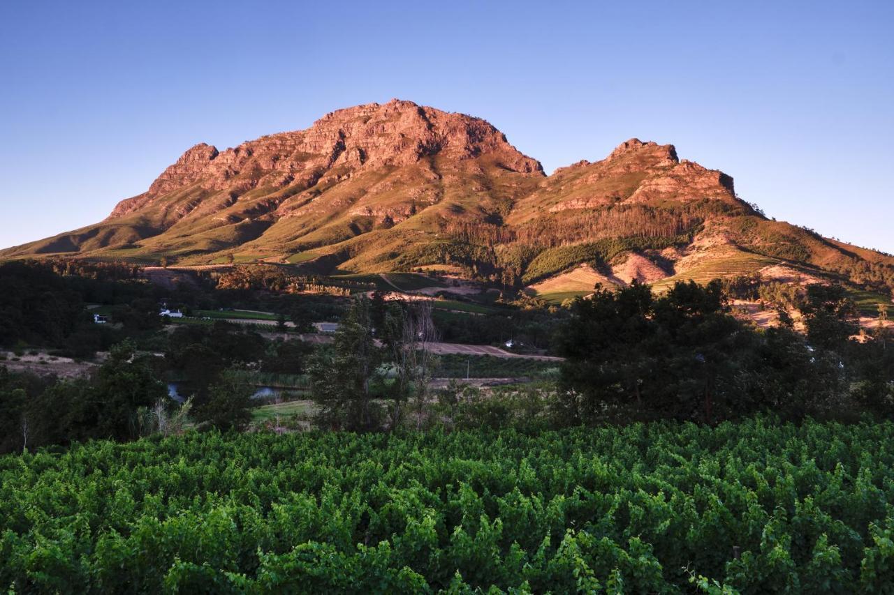 Alluvia Boutique Winery & Luxury Accommodation Stellenbosch Bagian luar foto The Paarl Mountain