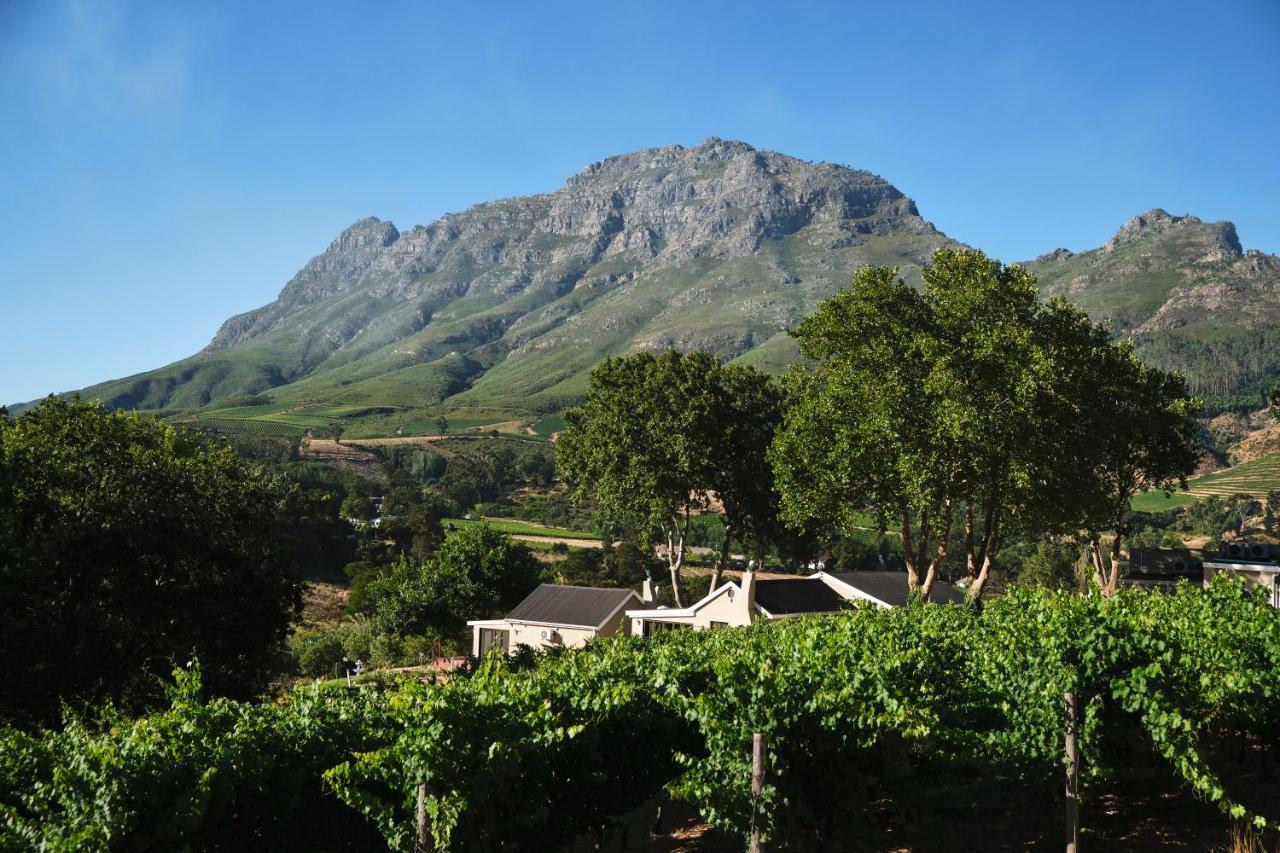 Alluvia Boutique Winery & Luxury Accommodation Stellenbosch Bagian luar foto Wine estate in Stellenbosch