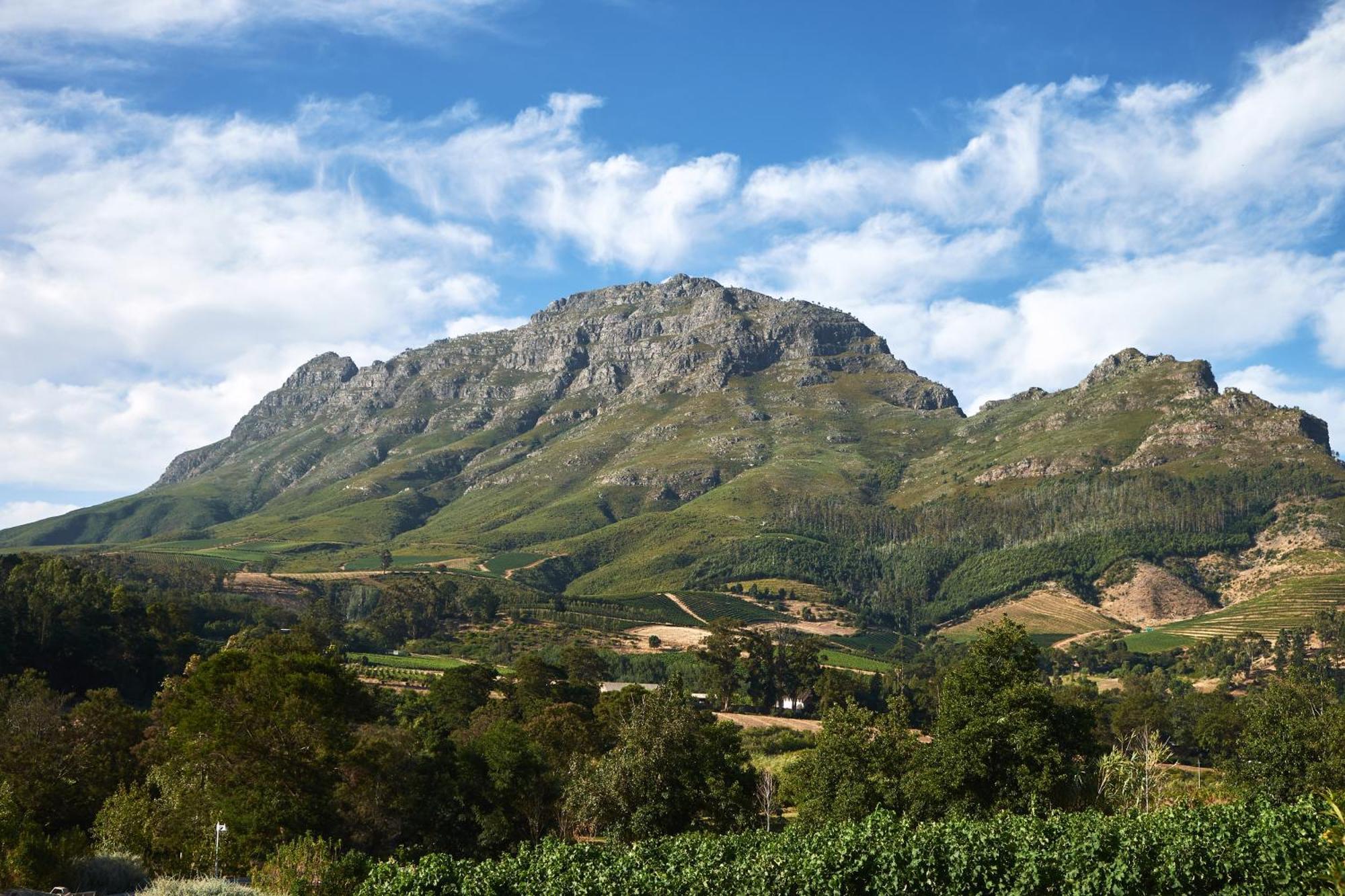 Alluvia Boutique Winery & Luxury Accommodation Stellenbosch Ruang foto The Helderberg