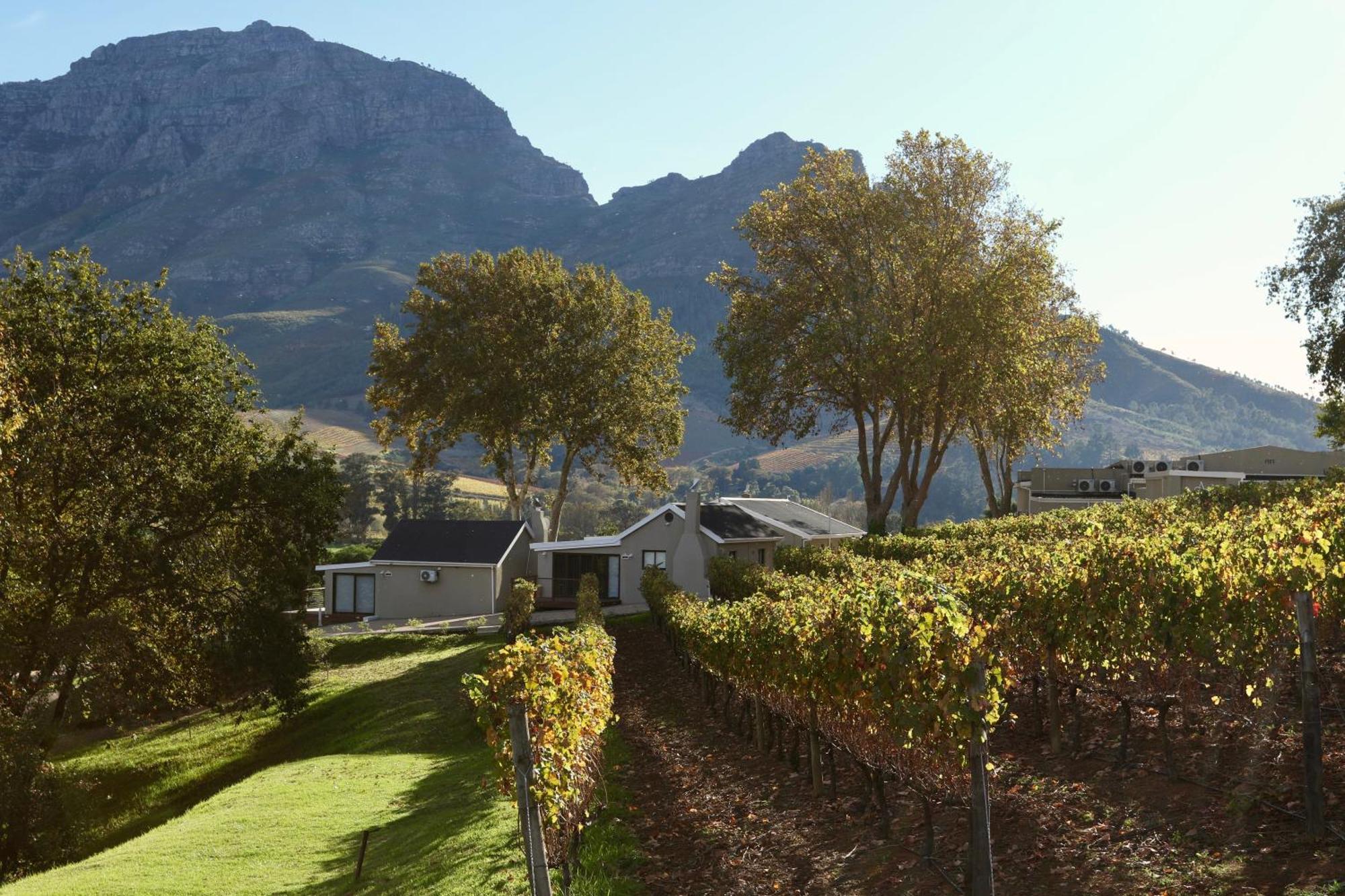 Alluvia Boutique Winery & Luxury Accommodation Stellenbosch Ruang foto Wine estate in Stellenbosch